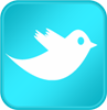 twitter_icon_3